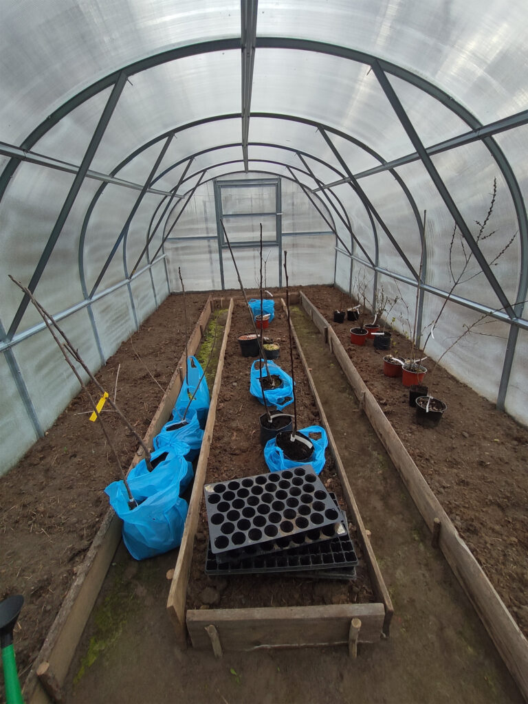 interior of polycarbonate tunnel greenhouse