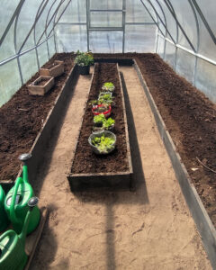 filled raised bed in greenhouse