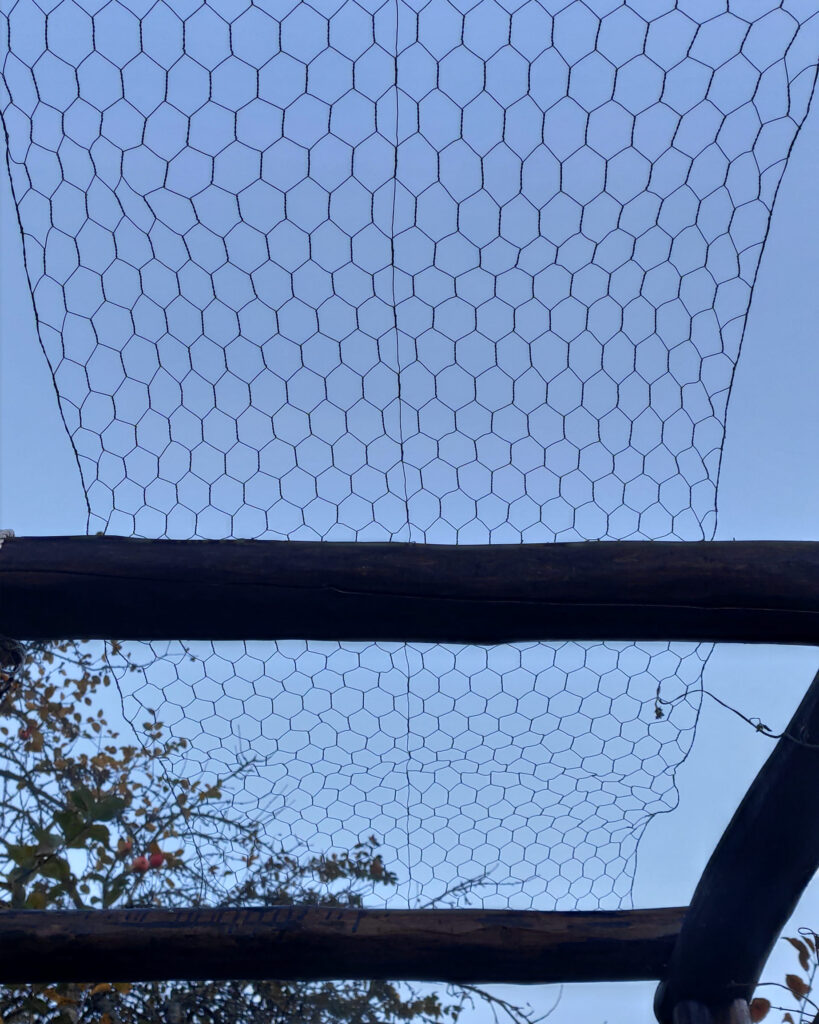 A metal fence on top of the "roof" for plants to climb on