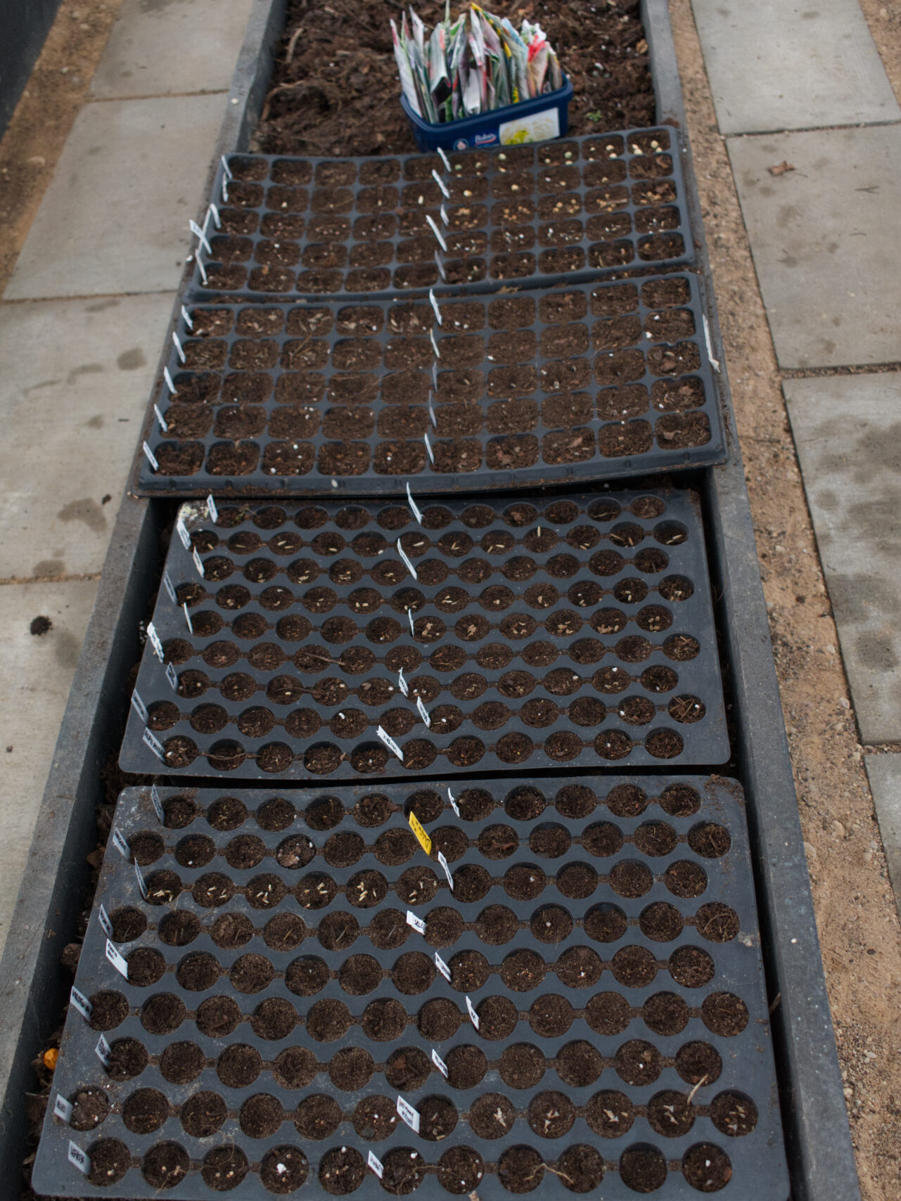 display of all seed trays